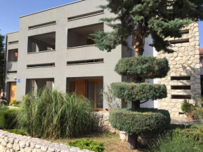 Отель Apartments Smiljanic  Трибунь